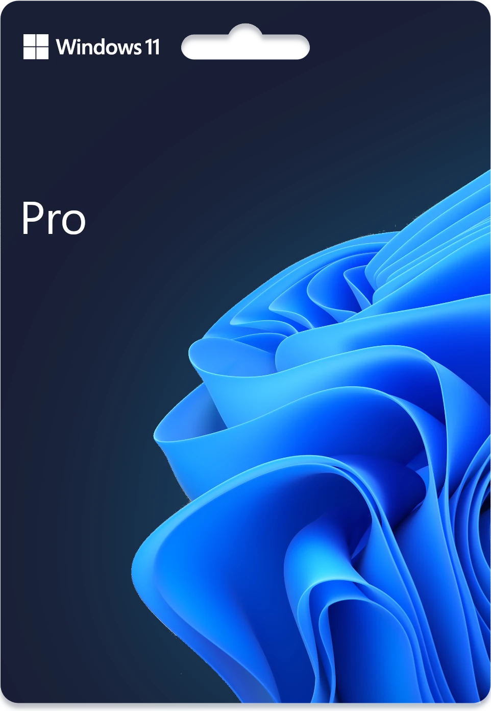 🌐 Windows 11 Профессиональная [11 PRO x32/x64, RETAIL]