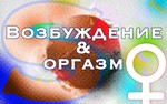 Возбуждение & оргазм  Женский аудиокурс - изображение № 2