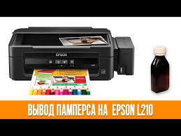 Сброс памперса  Epson : L210