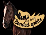 My Horse: Bonded Spirits / STEAM GLOBAL КЛЮЧ