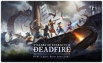  Pillars of Eternity II (PS4/PS5/RU) П3 - Активация