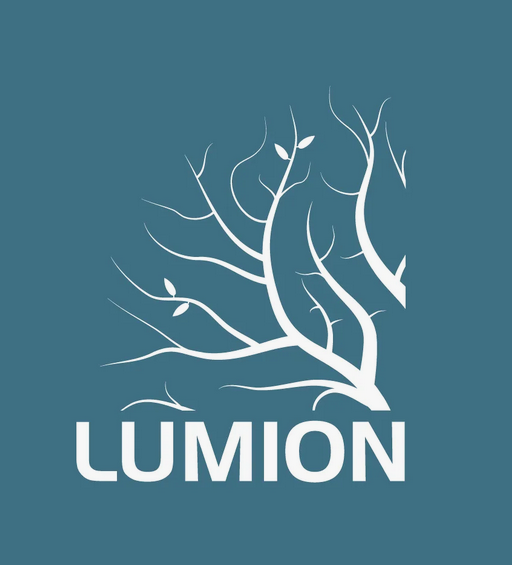 Lumion Pro Edu 1 пользователь 1 год