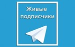  200 живых подписчиков телеграм без отписок + лайки️