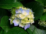 345234 - изображение № 3