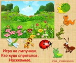 КТО КУДА СПРЯТАЛСЯ насекомые /электронная версия