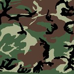 Комплект трафаретов для камуфляжа Woodland
