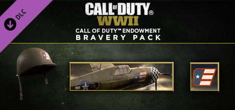 Call of Duty®: WWII - Call of Duty Endowment Brave USA