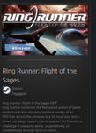 Ring Runner: Flight of the Sages + МИР + ВСЕ СТРАНЫ - изображение № 2