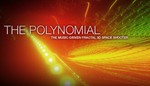 The Polynomial - Space of the music GIFT ВСЕ СТРАНЫ