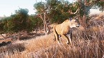 Hunting Simulator. STEAM-ключ+ПОДАРОК (RU+СНГ) - изображение № 2
