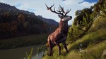 Way of the Hunter. STEAM-ключ (RU+СНГ) - изображение № 4