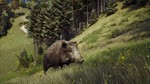 Way of the Hunter. STEAM-ключ (RU+СНГ) - изображение № 2