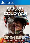 Call of Duty: Black Ops Cold War PS4/5 Аренда 5 дней