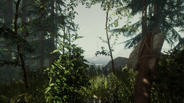 Скриншот ⚡️The Forest | АВТОДОСТАВКА | Steam gift Россия