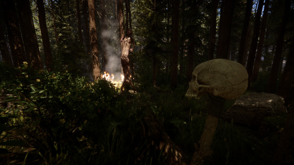 Скриншот ⚡️Sons of the Forest | АВТОДОСТАВКА [Россия Steam Gift]