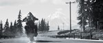 ️Days Gone | АВТОДОСТАВКА [Россия - Steam Gift] - изображение № 5