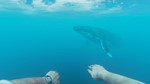 ️Stranded Deep | АВТОДОСТАВКА [Россия - Steam Gift] - изображение № 3