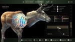 ️Way of the Hunter | АВТОДОСТАВКА [Россия Steam Gift] - изображение № 6