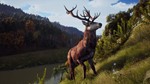 ️Way of the Hunter | АВТОДОСТАВКА [Россия Steam Gift] - изображение № 4