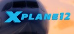 ️X-Plane 12 | АВТОДОСТАВКА [Россия - Steam Gift]