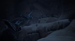 ️Beasts of Bermuda | АВТОДОСТАВКА [Россия Steam Gift] - изображение № 7