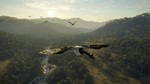 theHunter: Call of the Wild™ - Emerald Coast Australia - изображение № 3