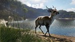theHunter: Call of the Wild™ - Emerald Coast Australia - изображение № 12