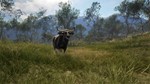 theHunter: Call of the Wild™ - Emerald Coast Australia - изображение № 8