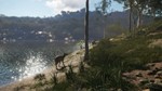 theHunter: Call of the Wild™ - Emerald Coast Australia - изображение № 6