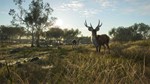 theHunter: Call of the Wild™ - Emerald Coast Australia - изображение № 10