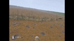 ️FPV Kamikaze Drone | АВТОДОСТАВКА [Россия Steam Gift] - изображение № 9