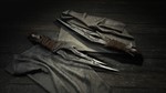 ️Hunt: Showdown - The Shadow Under the Cowl | АВТО RU - изображение № 5