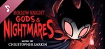 ️Hollow Knight - Gods & Nightmares | АВТО Россия Gift