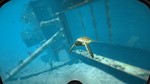 ️World Of Diving | АВТОДОСТАВКА [Россия Steam Gift] - изображение № 11