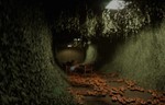 ️Backrooms: Escape Together | АВТО [Россия Steam Gift] - изображение № 8