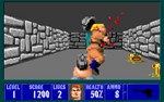 ️Wolfenstein 3D | АВТОДОСТАВКА [Россия Steam Gift] - изображение № 5