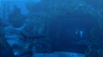 ️Tomb Raider: Underworld | АВТОДОСТАВКА RU Steam Gift - изображение № 4