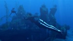 ️Tomb Raider: Underworld | АВТОДОСТАВКА RU Steam Gift - изображение № 3