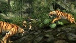 ️Tomb Raider: Underworld | АВТОДОСТАВКА RU Steam Gift - изображение № 6
