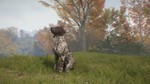 ️theHunter: Call of the Wild- German Shorthaired Point - изображение № 3