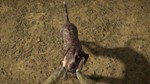 ️theHunter: Call of the Wild- German Shorthaired Point - изображение № 2