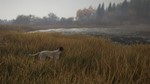 ️theHunter: Call of the Wild- German Shorthaired Point - изображение № 4