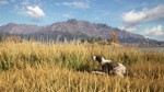 ️theHunter: Call of the Wild- German Shorthaired Point - изображение № 6