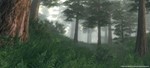️TES IV: Oblivion Game of the Year  Deluxe |АВТО Steam - изображение № 3