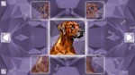 Poly Puzzle: Dogs (Steam key/Region free) - изображение № 4