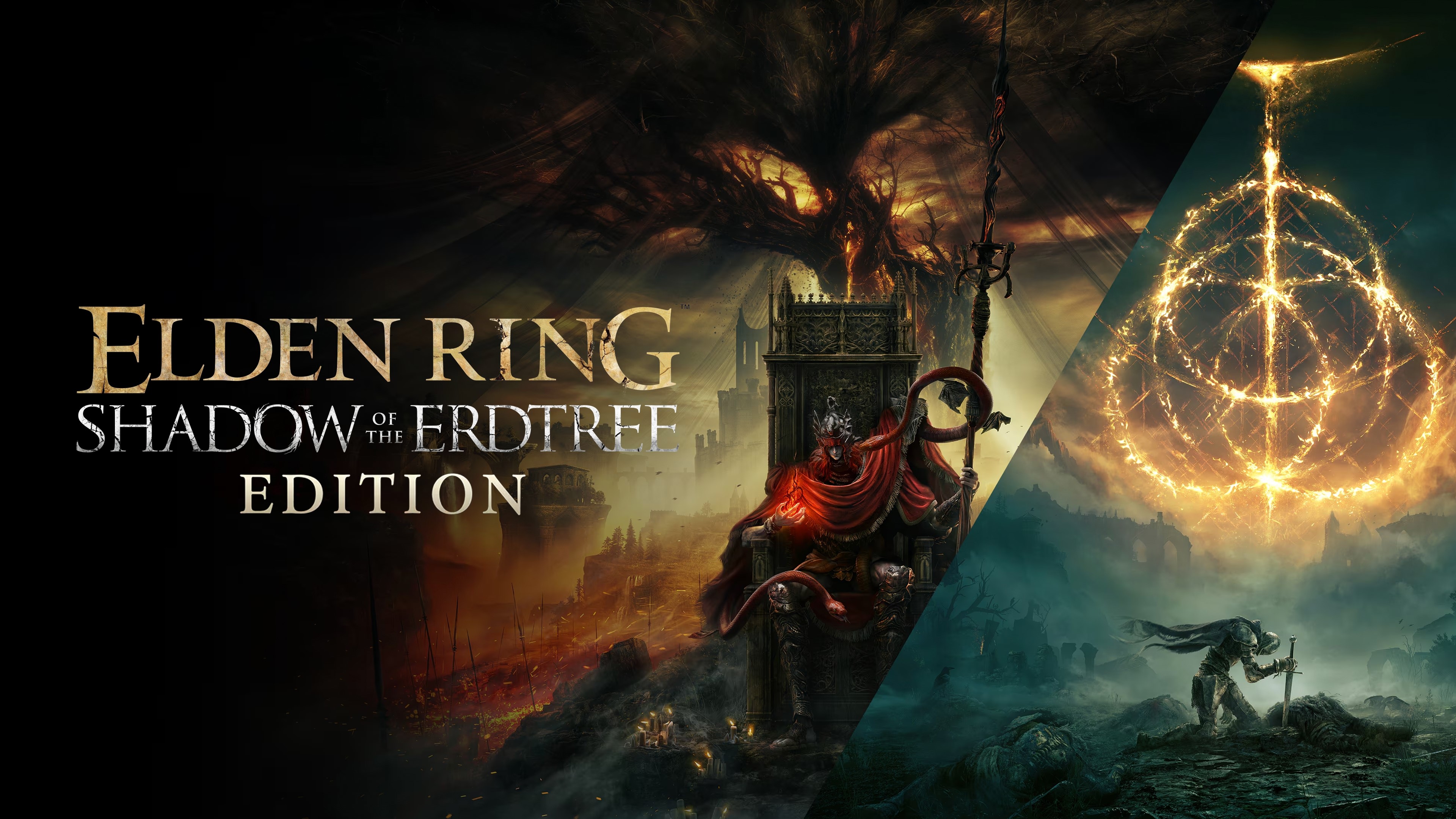 ELDEN RING Shadow of the Erdtree Ed. (Ключ РФ+СНГ)