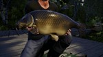 Euro Fishing: Waldsee DLC (Steam key / Region Free) - изображение № 9