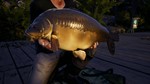 Euro Fishing: Waldsee DLC (Steam key / Region Free) - изображение № 10