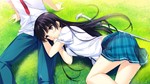 If My Heart Had Wings -Flight Diary- Steam key / Global - изображение № 4