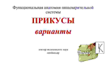 Варианты прикусов у человека - изображение № 12